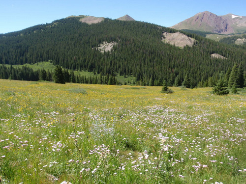We're at about 11,000'/3,300m.